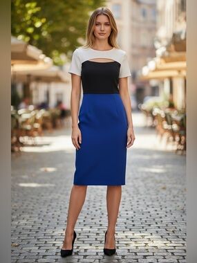 Nue by Shani White, Black & Blue Colorblock Midi Sheath Dress size 12